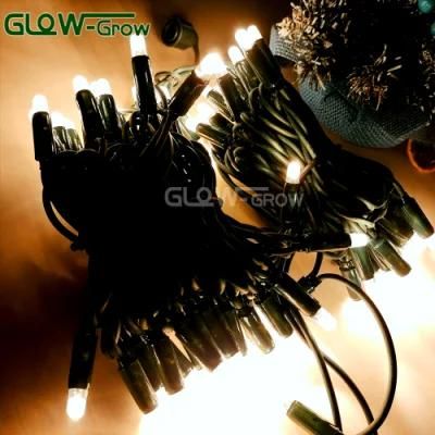 IP65 Warm White 3.5W Crystal Christmas Bullet Cap Low Voltage LED String Light with CE RoHS Green Cable