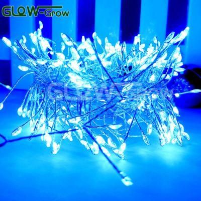 12V 300LEDs UL CE RoHS Blue Silver Wire LED Cluster Lights Christmas Fairy Light for Event Home Wedding Event Decoration