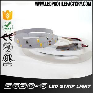 DMX RGB Intertek LED Strip Light 24V