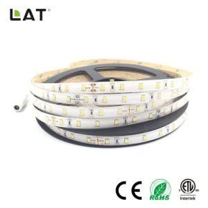 High Brightness DC12V DC24V IP20 SMD2835 Cw Ww 10m 30LEDs Flexible LED Strip Tape Ce ETL UL