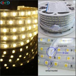 220V LED Outdoor Lights 5050 Christmas Decoration Flexible LED Strip