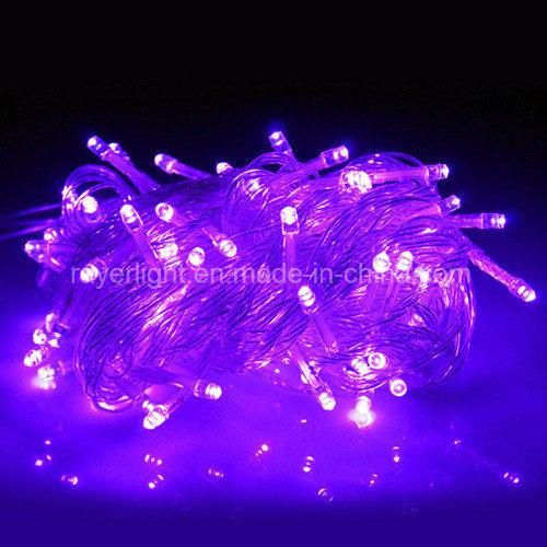 Multicolor LED Holiday Decorative String Light From Factory