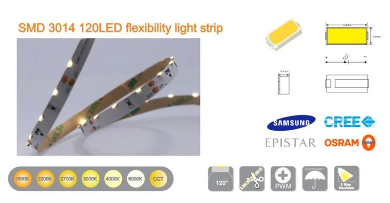 Hight Quality SMD3014 DC24V High Density 240LED Sid View Flexible Strip Light for Home Decoration