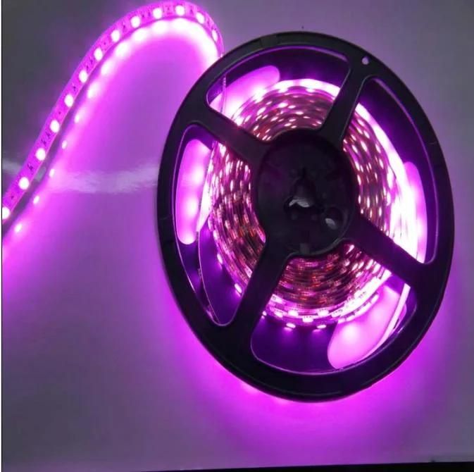 400nm Purple Violet UV Color Flexible LED Strip