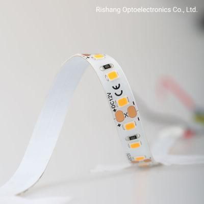 60LEDs/M DC24 V Ultra-Thin Waterproof Silicone IP65 LED Light Strip with High Efficiency