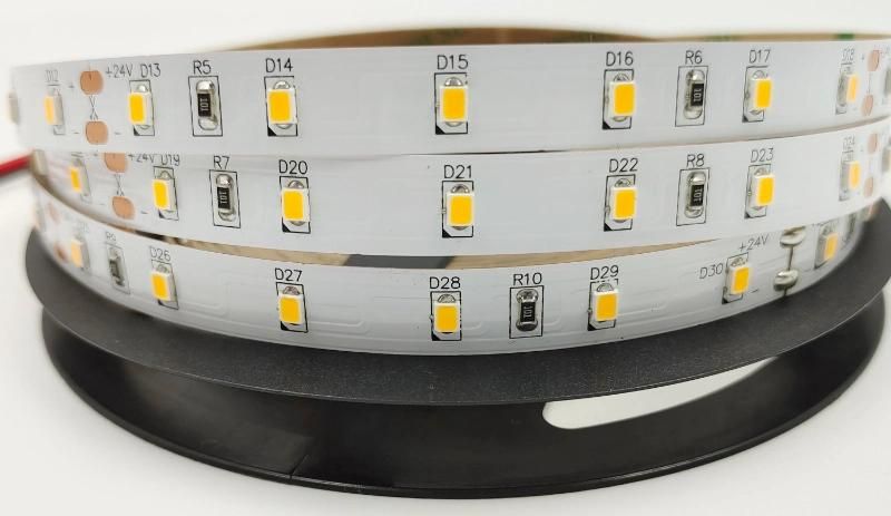 LED Lighting 12V/24VDC 2835 60 LED Strip 5m LED Strip Light