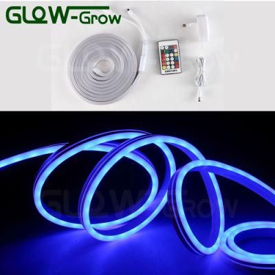 5m 300LEDs 24V 5050 LED RGB Neon Flex for Home Decoration