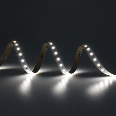 High Efficacy 10mm SMD DC24V Flexible LED Strip for Shopping Mall Decorative Lighting