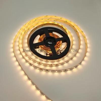 LED Lighting 12V/24VDC 2835 60 LED Strip 5m LED Strip Light