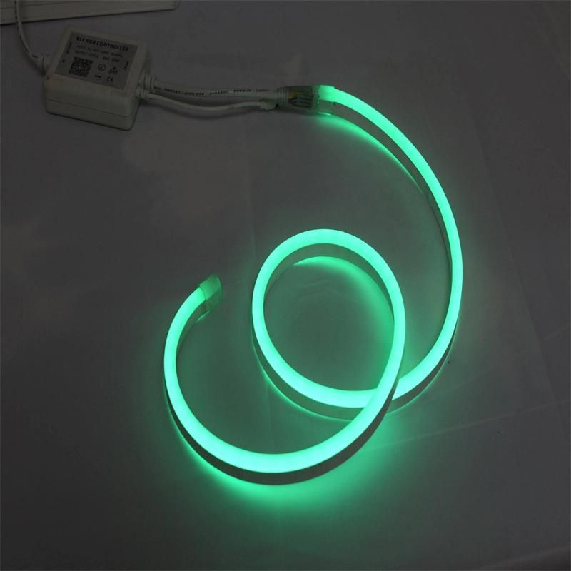 CE RoHS Passed 2835 Red Green Blue Wholesale Decoration LED Light Waterproof
