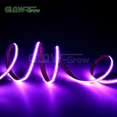 768LEDs IP20 Ceiling Use LED RGB Taped COB Strip Light with 3m Adhesive