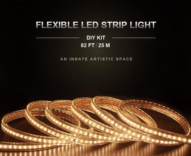 Linkable LED Strip Light 220V 230V Euro Plug with Ce RoHS