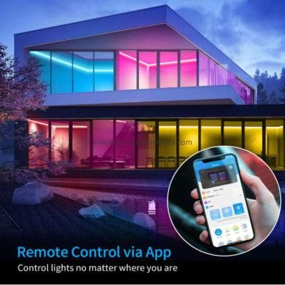 Color Changing Smart Light Strip with APP and Remote Control