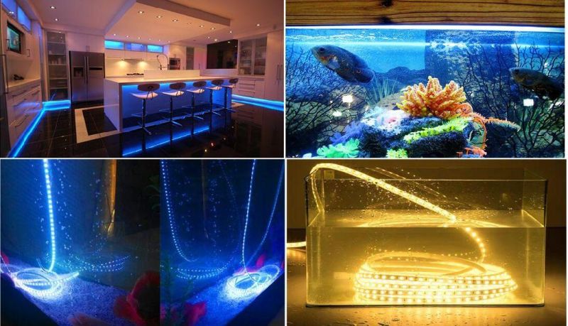 RGB 3-in-1 Colors Changeable DC 24V IP68 LED Light Strips Waterproof for Underwater Pool Lighting