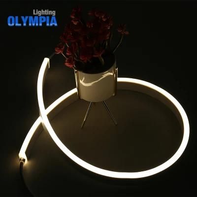 Neutral Packing SMD5050 IP68 Waterproof Flexible LED Neon Strip