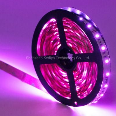 12V 24V DC 5050 RGB 60LEDs+ 2700K / 6500K /4000K IP20 IP65 IP67 Tube Flexible RGBW Rgbww 4 in 1 LED Strip Light