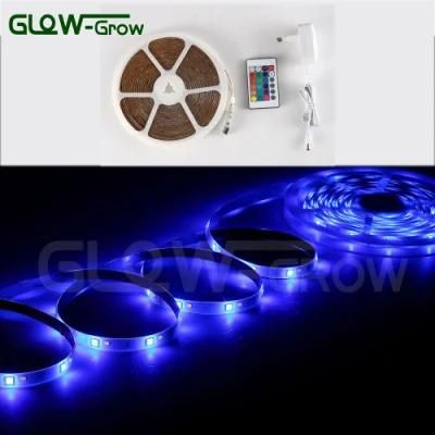 ETL Approval 12V Indoor/Outdoor RGB Plus W LED Strip Light with IR