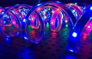 5 Years Warranty LED High Brightness DMX Flexible RGB LED Strip Light Decorative Light Christmas Decoration LED Decorations Lighting