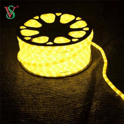 LED Rope Light Flexible Decoration Lights for Christmas