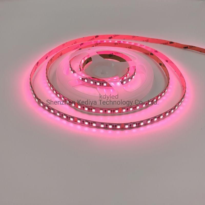 5mm Customized 8mm FPC Width 120LED/Meter DC24V 3838 RGB LED Strip Light