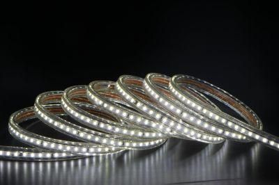 Flexible AC230V LED Strip Light Outdoor Using Ce RoHS Certificate SMD 2835