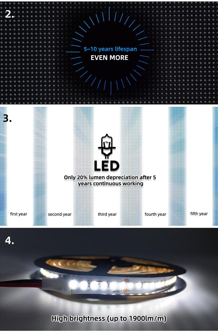 New Product Indoor DC 24V Waterproof Flexible LED Light Strip with Optional Color Temperature LED Glow Strip Light