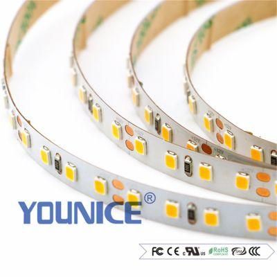 2835 LEDs Strip Silicon Glue with CE/RoHS Waterproof Light IP54