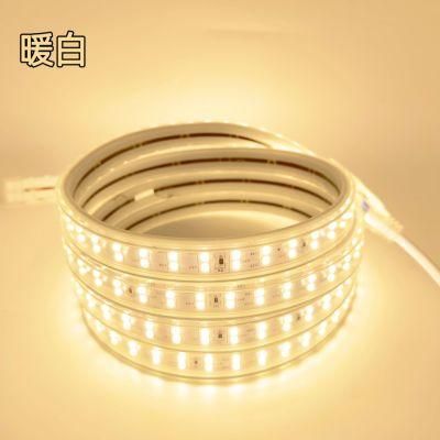 Alva High Quality AC220-240V IP65 Waterproof LED Strip Light