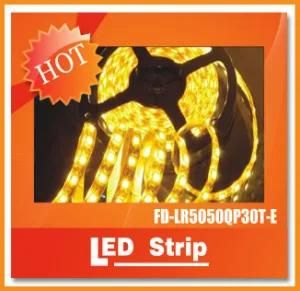 IP65 Waterproof RGB LED Strip Light SMD5050 300LEDs LED Rope Light