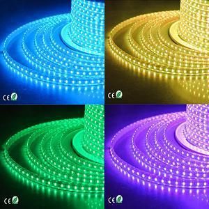 ETL High Voltage W/Ww/R/G/B/RGB LED Strip Light LED Ribbon