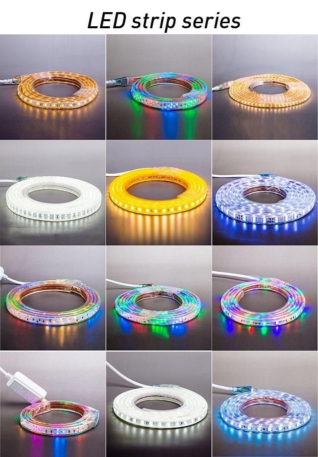 Waterproof Optional SMD 5050 2835 RGB Flexible LED Strip for Indoor Outdoor
