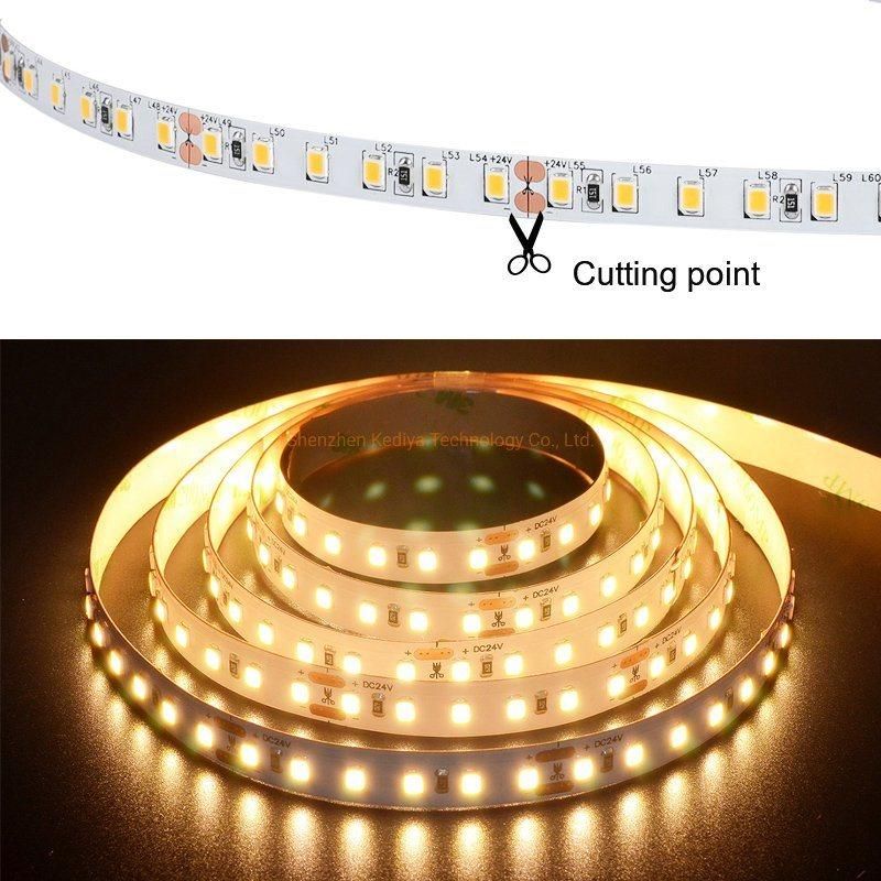 SMD2835 DC12V 24V Flexible LED Strip Light for Christmas Decoration