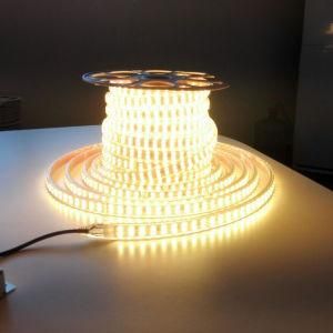 Double Row LED Strip Light RGB Outdoor LED Ribbon 110V/220V