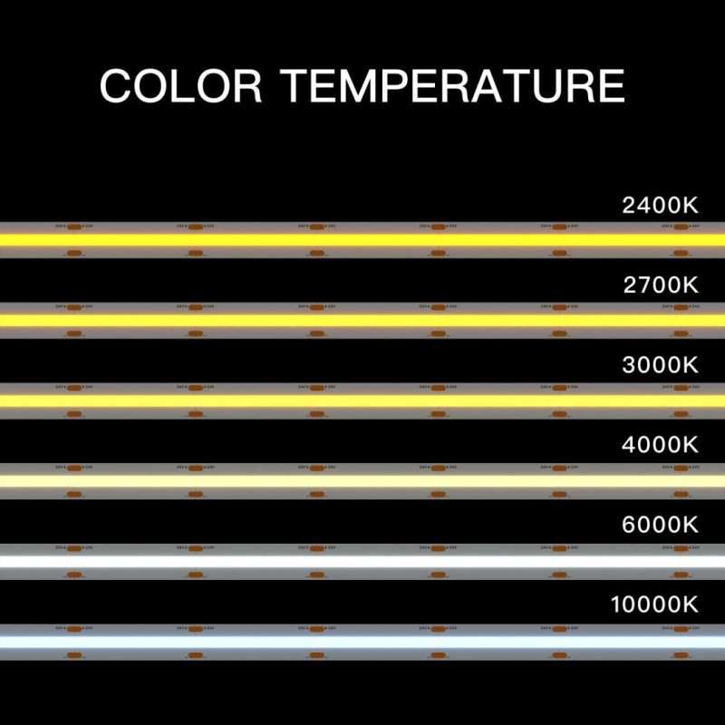 High-End Dimmable COB Strip Kit 5m 900lm/M 3000K 6500K COB LED Strip Light Flexible