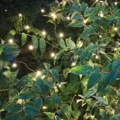 LED String Lights LED Garden Window Decorations LED Hoiday Net Lights