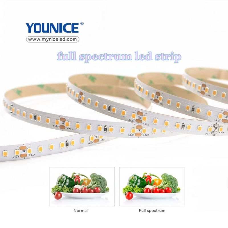 10mm Width DC24vd CRI>95 Ra>97 Full Spectrum LED Strip for Clothing Store