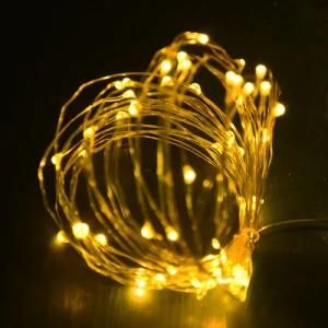 Christmas Light Copper Wire String Light /Powered by USB Warm White
