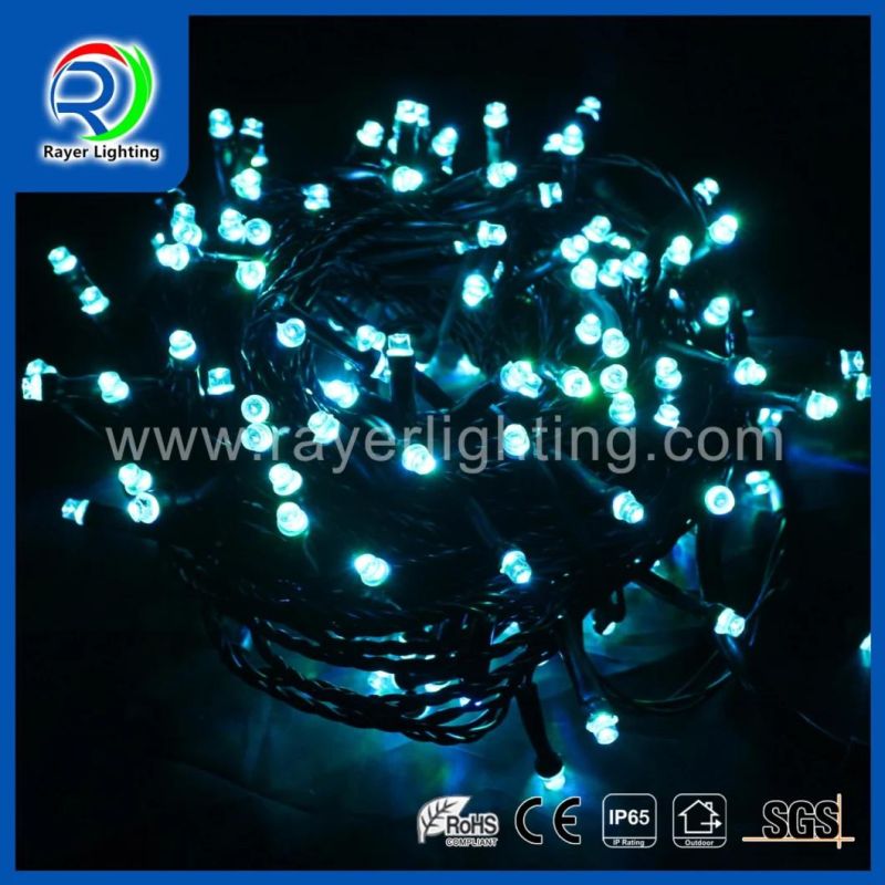 LED Holiday Synchro String Light Garden Decoration LED String Light