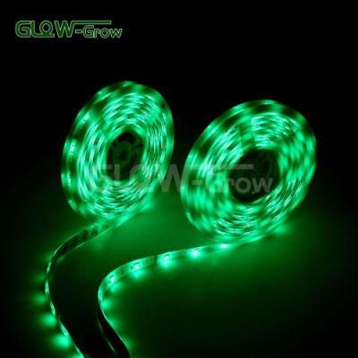 24V 5050 ETL Listed Rgbcct LED Strip Light for Kitchen Decoration