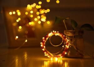 Hot Sale Copper Wire String Light /Powered by USB Warm White