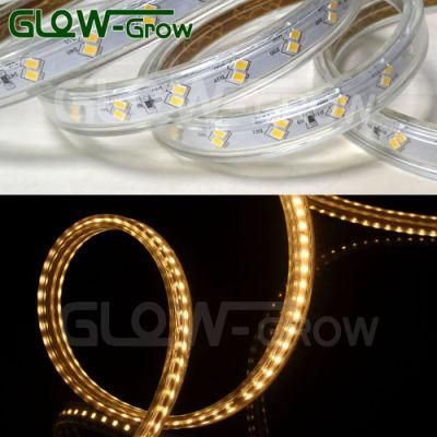 Double Line Rope Lamp AC 120V IP65 Waterproof 120LEDs/M SMD 2835 LED Strip Light