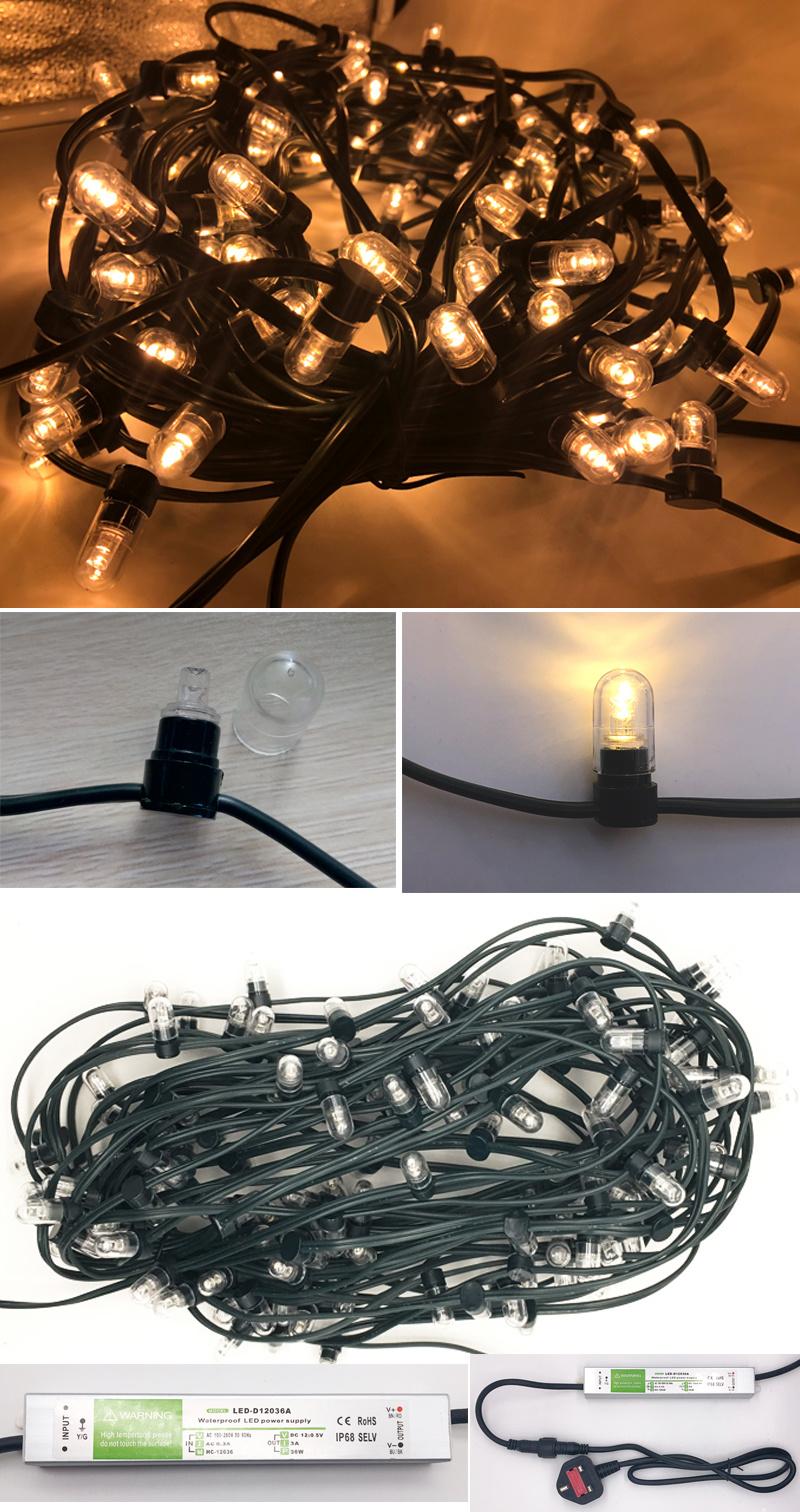 New String Type Christmas Decoration Holiday Time Lights 12V Safe LED Belt Clip