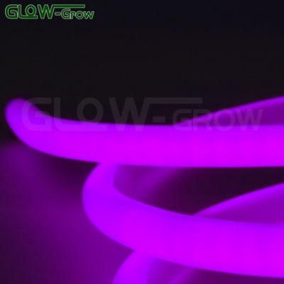 Wholesale Decoration LED Light Purple 230V 14mm 360 LED Neon Light for Holiday Decoration