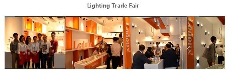 High Lumen Outdoor 24V SMD Flexible LED Strip Light LED Lighting