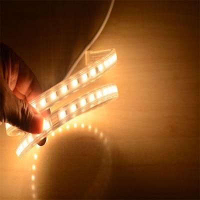 AC220V SMD2835 Outdoor Project Decoration Waterproof CE IP65 LED Strip Lights
