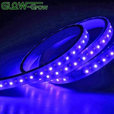 120V Dual Color 2 Chips 2835 IP65 144LEDs/M LED Flex Strip Light for Home Decoration