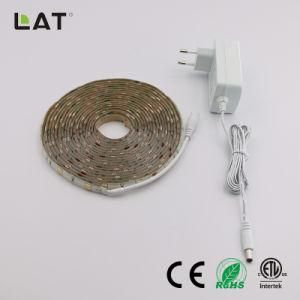 DC24V 5m IP65 High Brightness SMD5050 Ww/Cw 30/60/120LEDs Flexible LED Strip Light