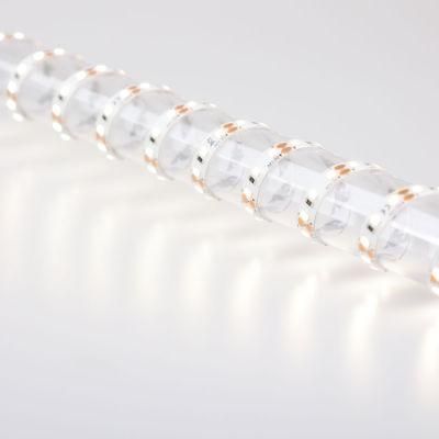 CE RoHS 12V 8mm SMD2835 LED Strip Lighting Waterproof Silicon Spraying LED Strip
