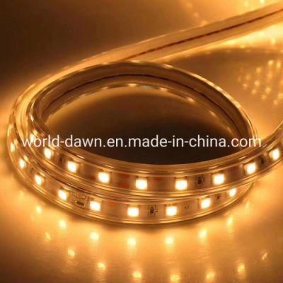 Decoration Lights IP65 Waterproof SMD5050 SMD2835 Colorful LED Strip Light for Christmas
