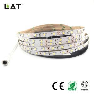 High Brightness DC12V 24V IP20 IP65 SMD2835 Ww Cw 5m 60LEDs Flexible LED Strip Tape Ce ETL UL